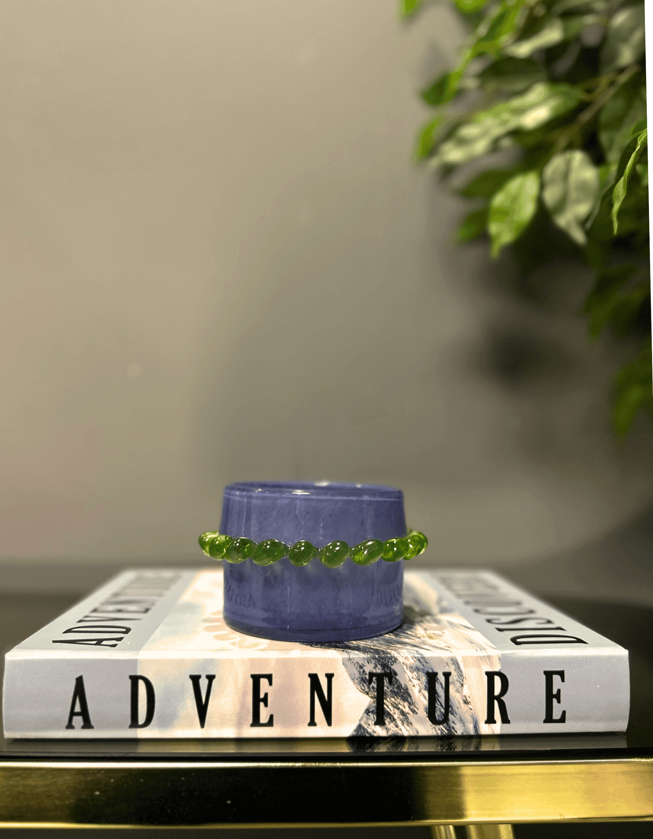 Purple Green Cam Mini Dekor