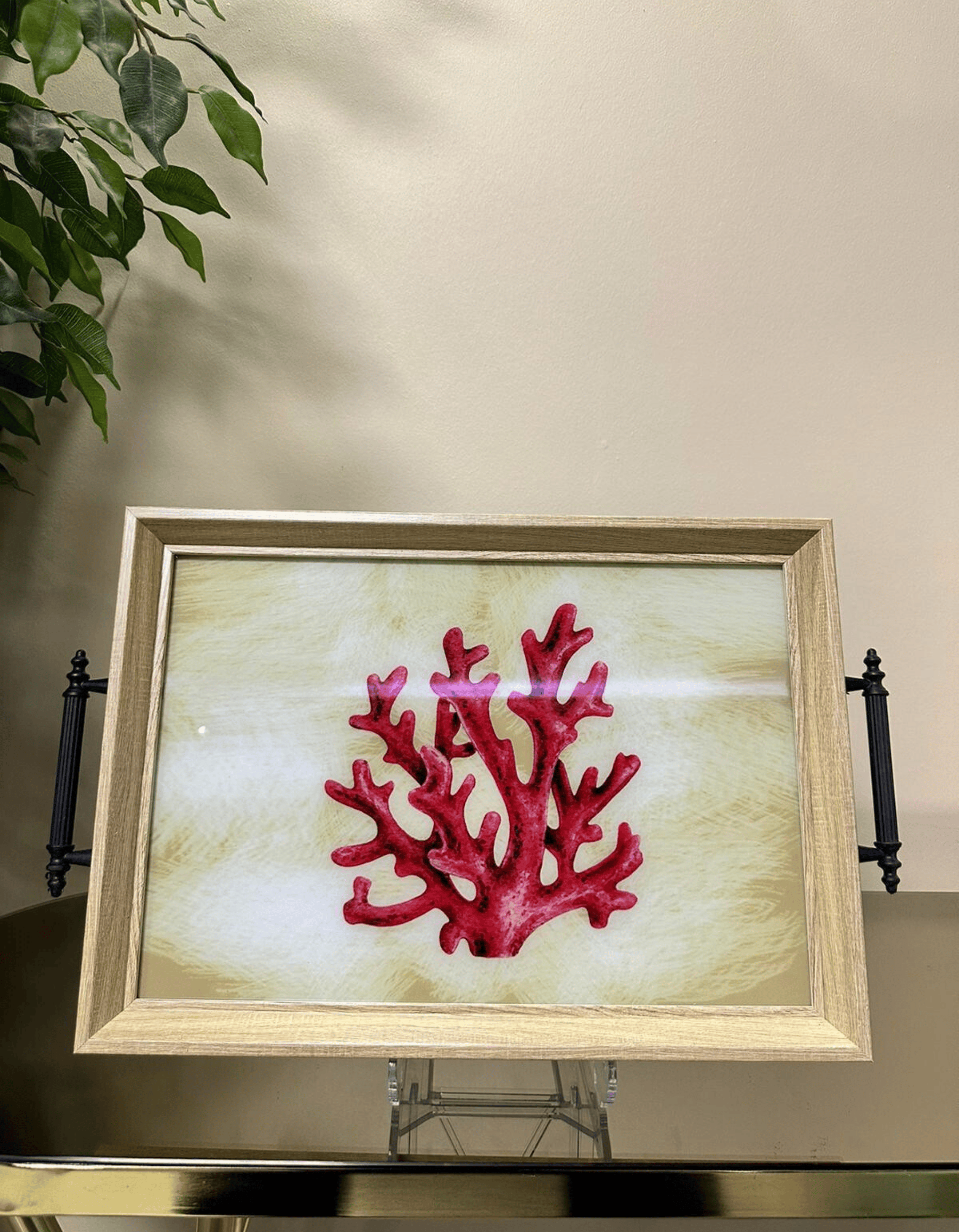 Scarlet Reef – Deniz Mercanı Tepsi 