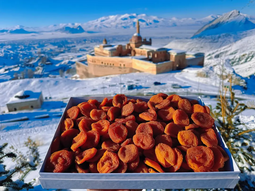 GÜNKURUSU IĞDIR KAYISI 1 Kg