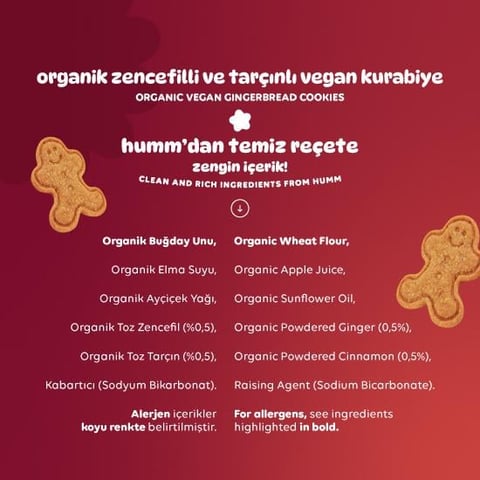 Organik Vegan Zencefilli ve Tarçınlı Kurabiye - 55g