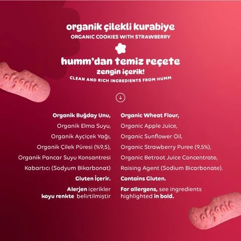 Organik Vegan Çilekli Kurabiye - 55g