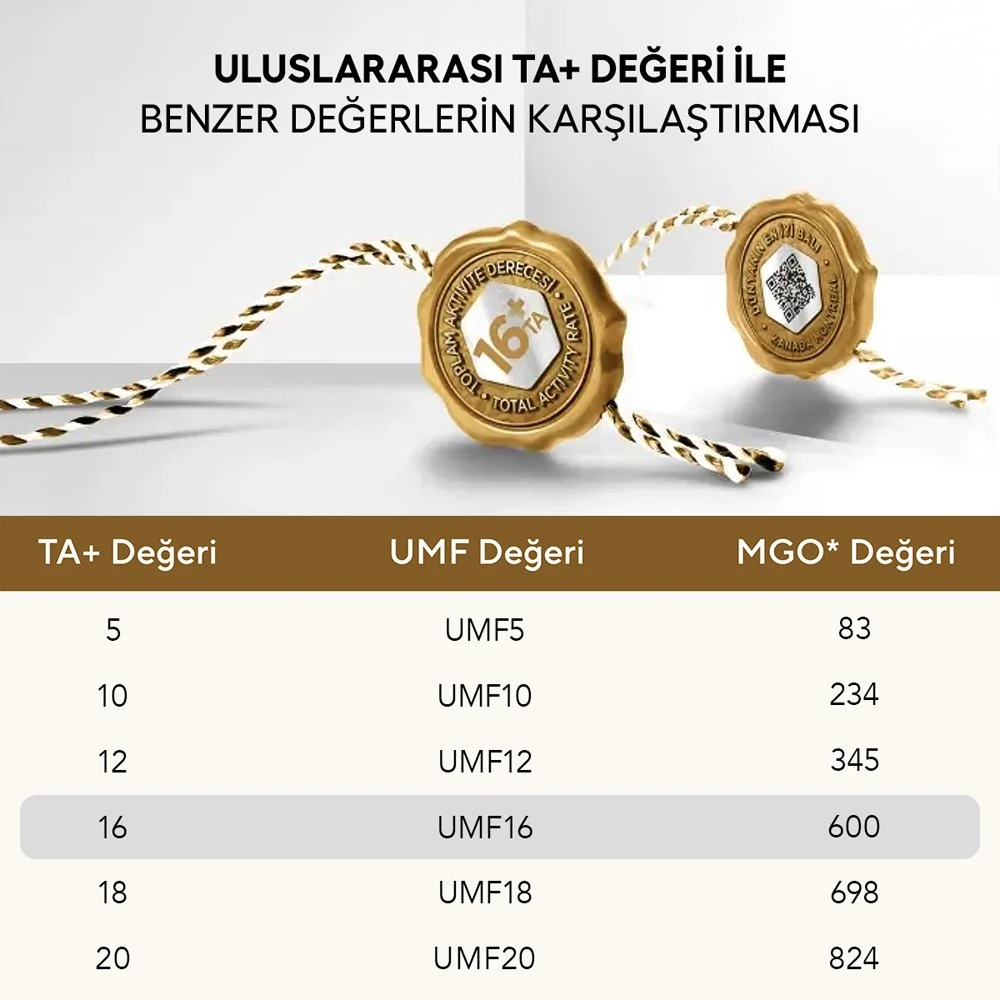 ORGANİK POLİFLORALI (ÇOK ÇİÇEKLİ) BAL TA16+