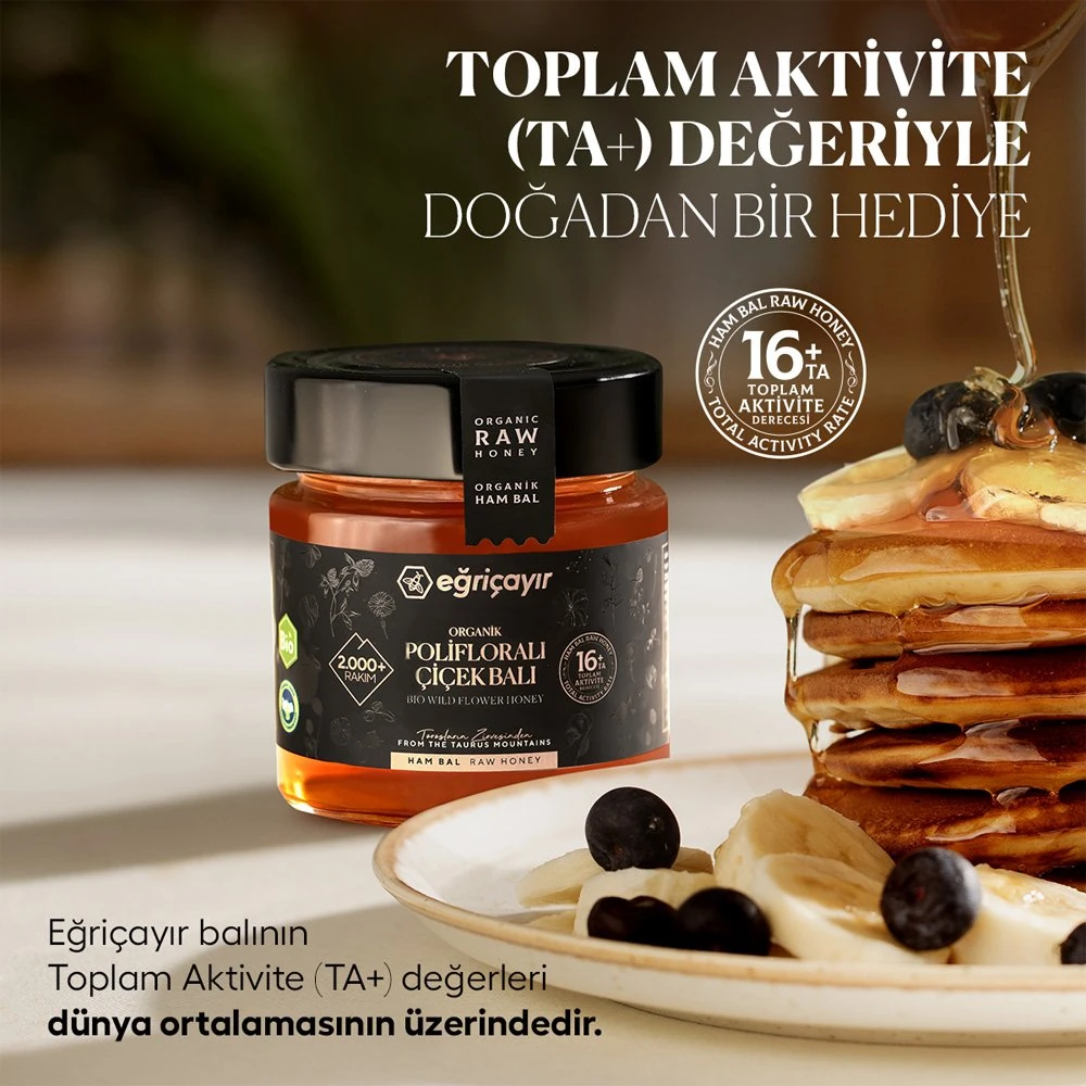 ORGANİK POLİFLORALI (ÇOK ÇİÇEKLİ) BAL TA16+