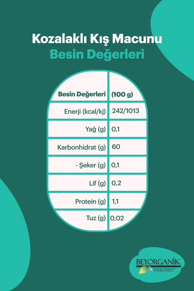 Organik Kozalaklı Kış Macunu 240gr (PESTİSİT VE AĞIR METAL ANALİZLİ)