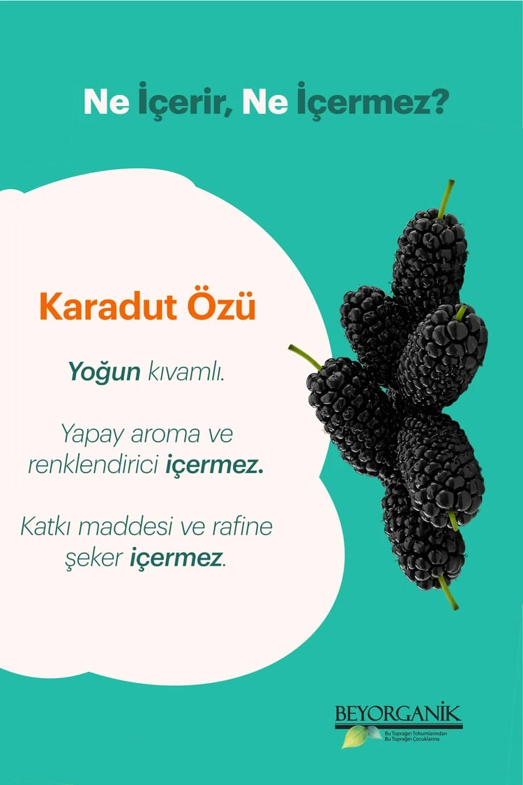 Karadut Özü 700g