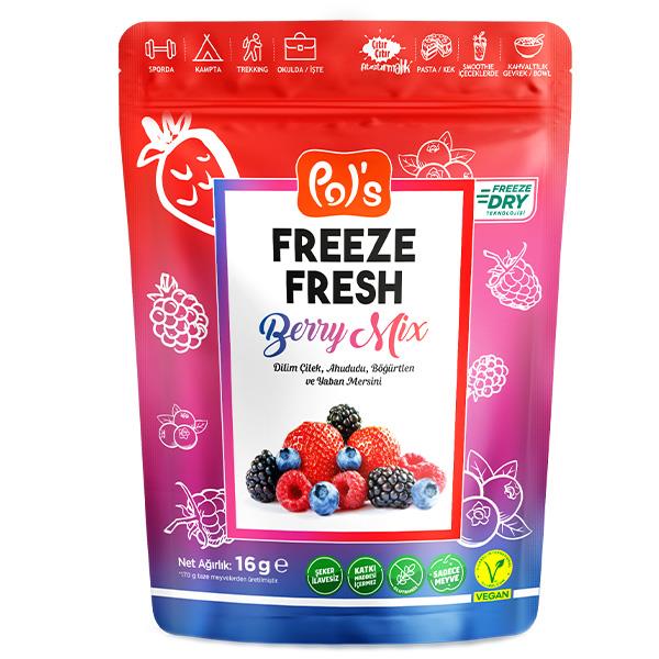 Freeze Fresh Dondurularak Kurutulmuş Berry Mix 16g