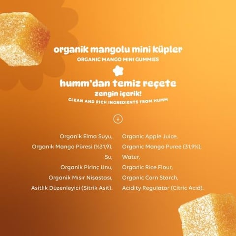 Organik Glutensiz Vegan Mangolu Mini Küpler - 30g