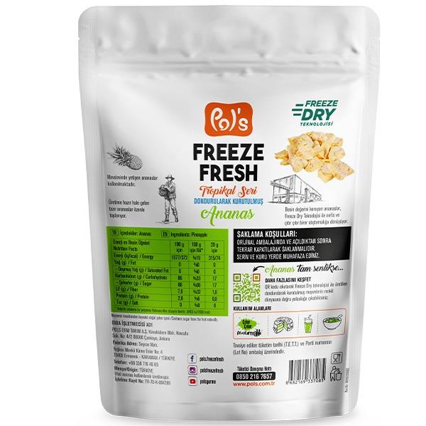 Freeze Fresh Dondurularak Kurutulmuş Ananas 20g