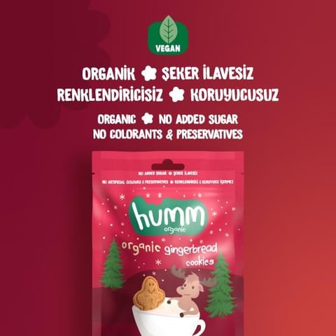 Organik Vegan Zencefilli ve Tarçınlı Kurabiye - 55g