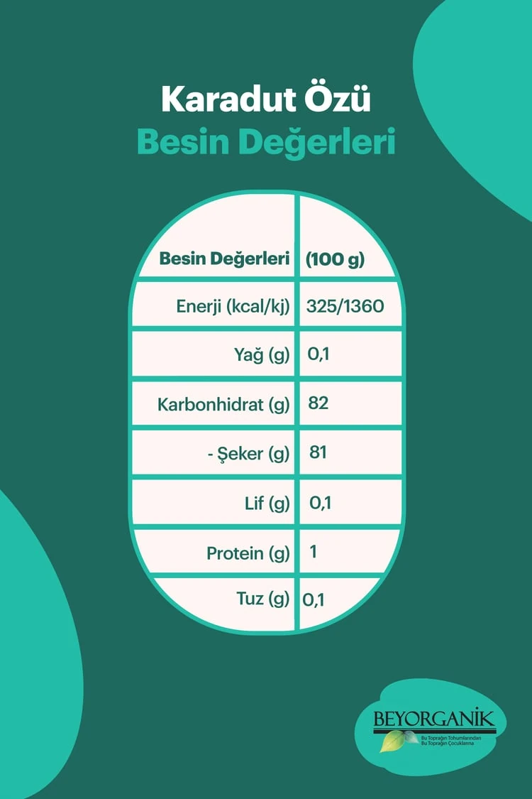 Karadut Özü 700g
