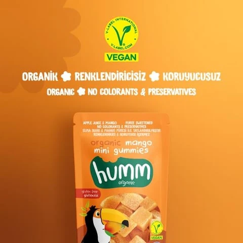 Organik Glutensiz Vegan Mangolu Mini Küpler - 30g