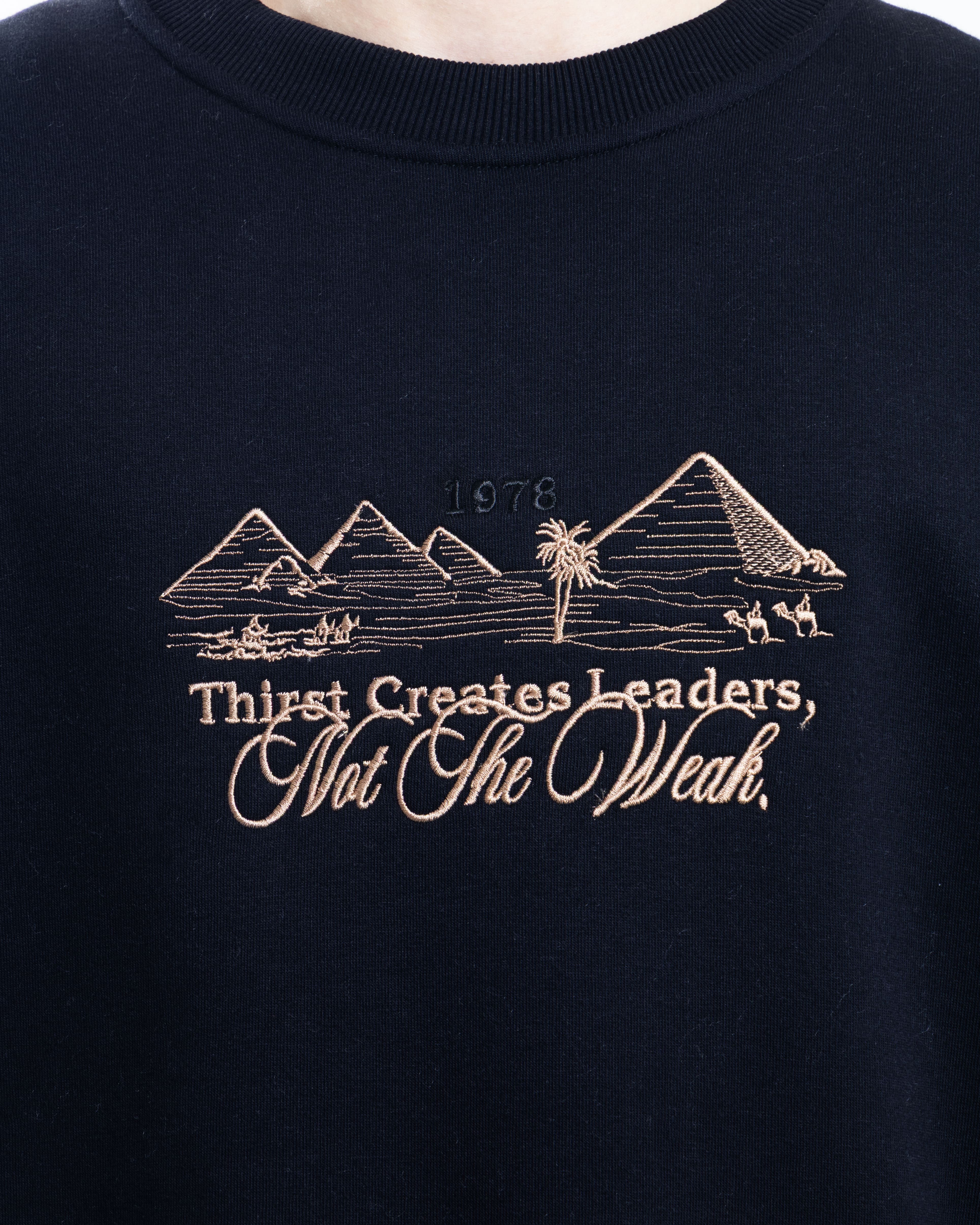 Desert Spirit Sweatshirt