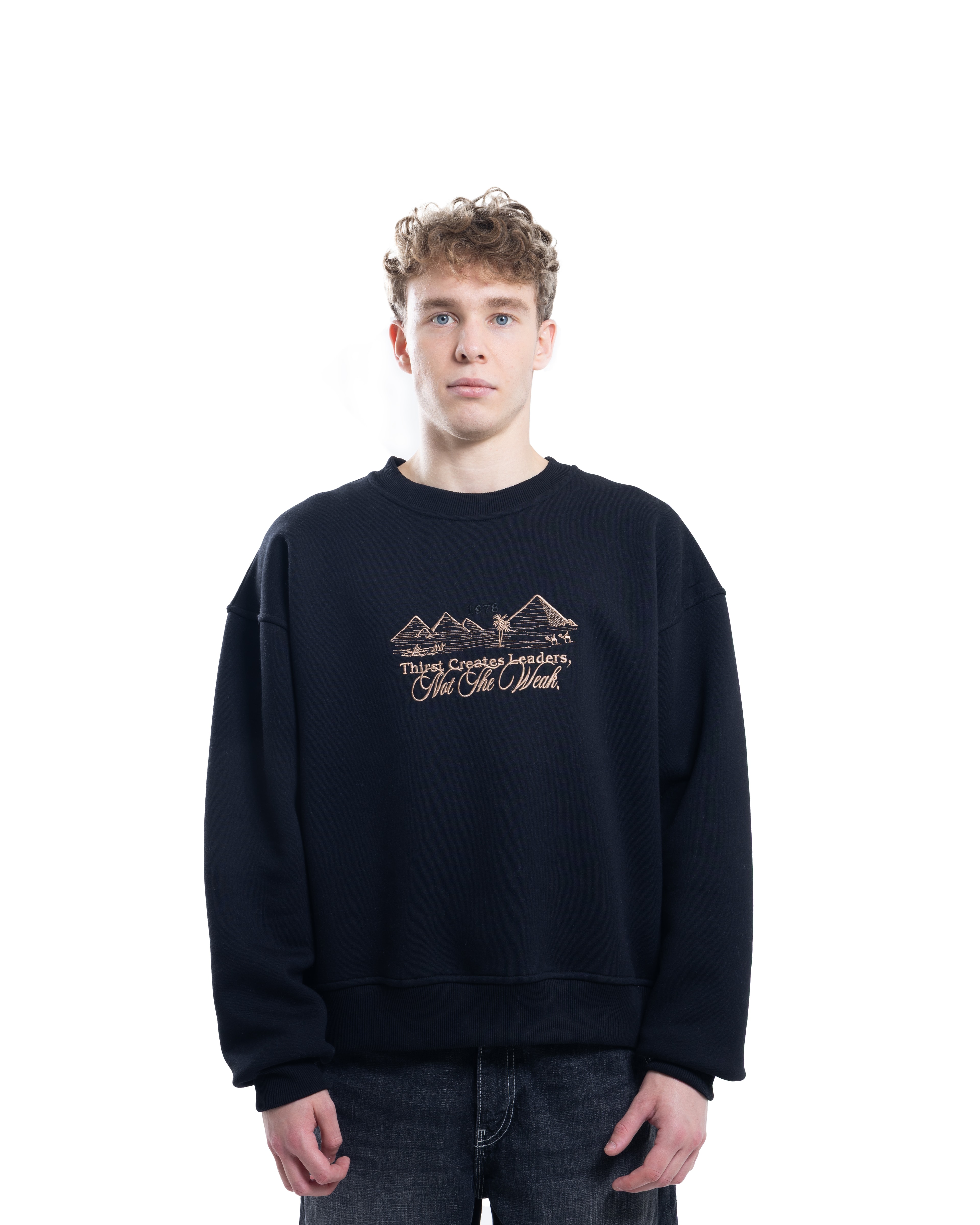 Desert Spirit Sweatshirt