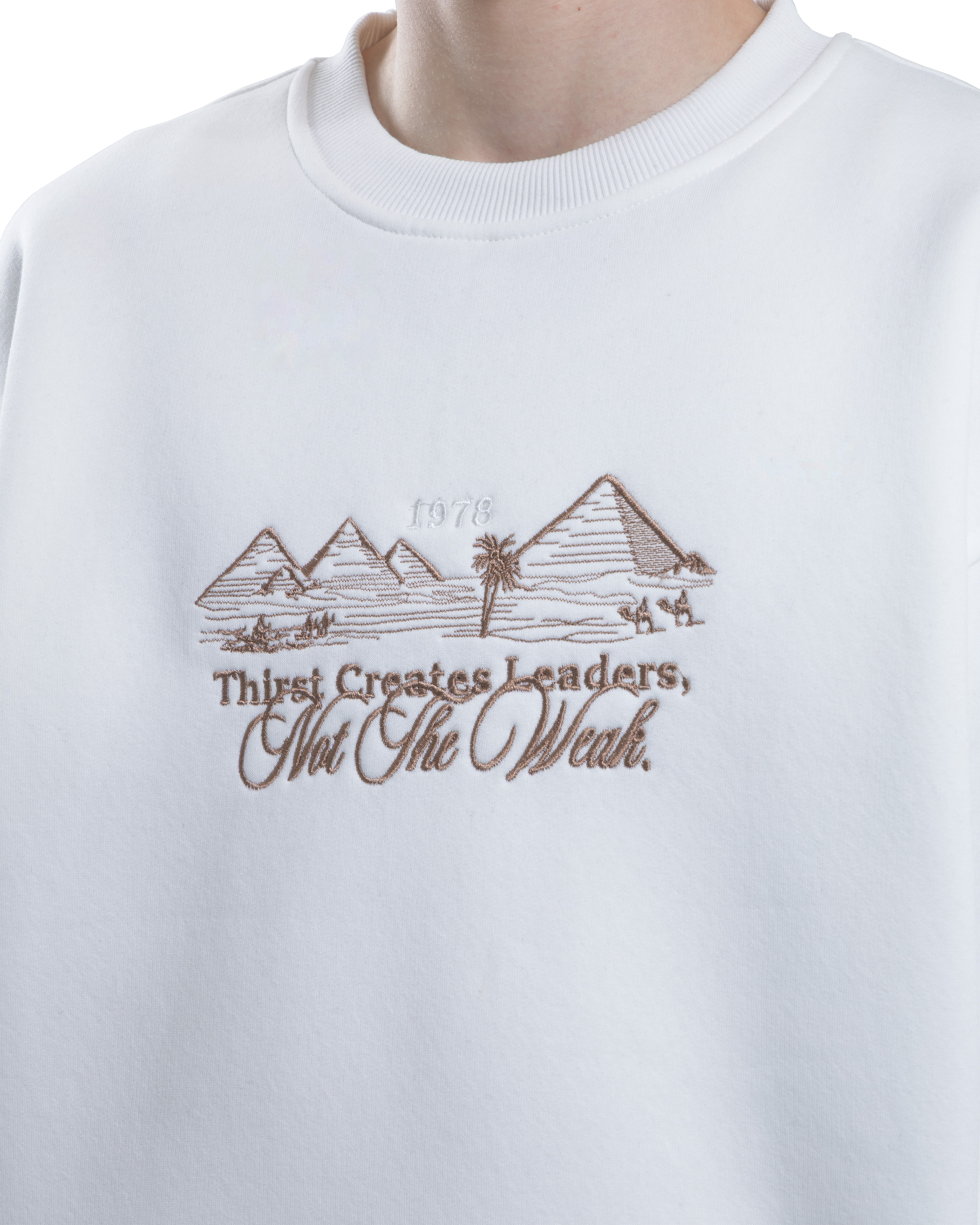 Desert Spirit Sweatshirt
