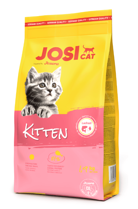 JOSİCAT KİTTEN 