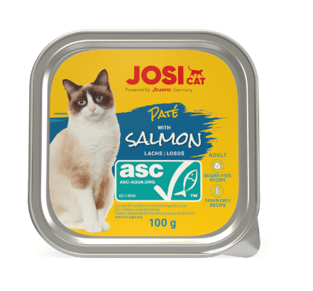 JOSİCAT PATE WİTH ASC SALMON  100GR X 6 