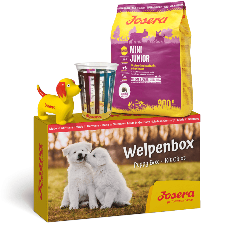 PUPPY BOX MİNİ JUNİOR