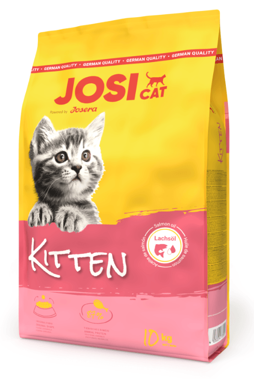 JOSİCAT KİTTEN 