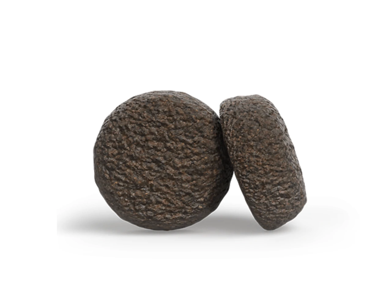 A/S ADULT WITH LAMB & SWEET POTATO