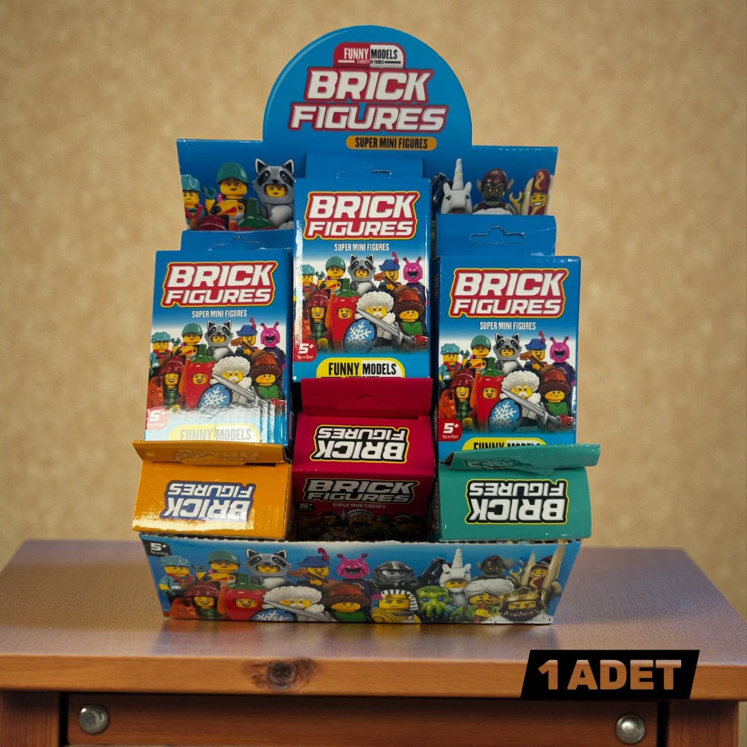 MİNİ BRICKS SÜPRİZ FİGÜR