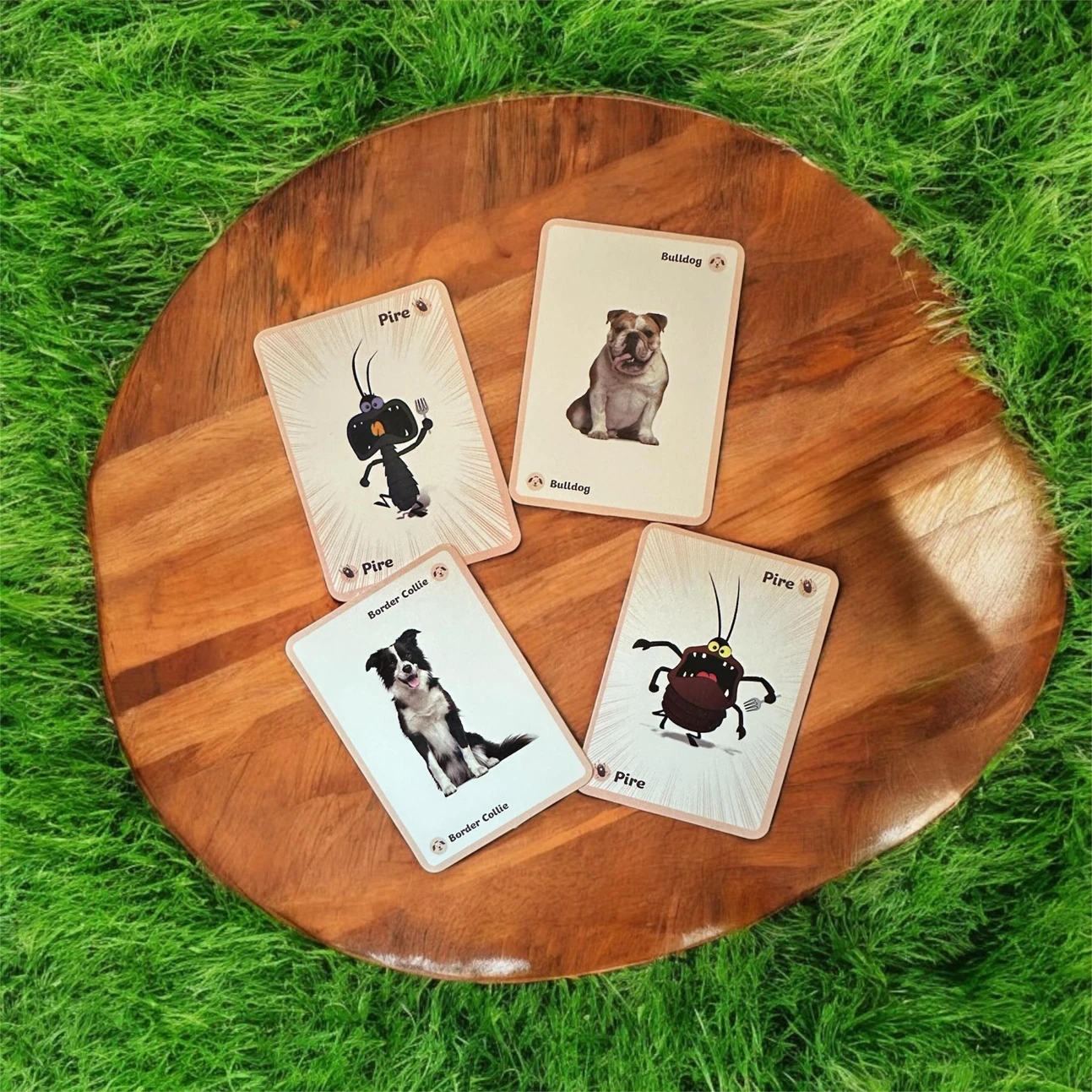 Çocuklara Özel Pire Kimde Kart Oyunu Köpek