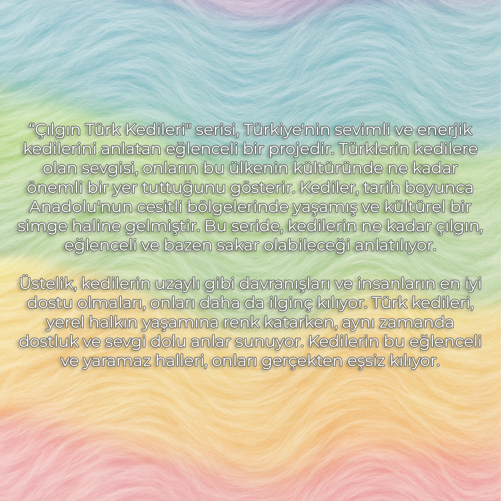 MISFITTENS SÜRPRİZ KUTU ÇILGIN TÜRK KEDİLERİ SERİSİ