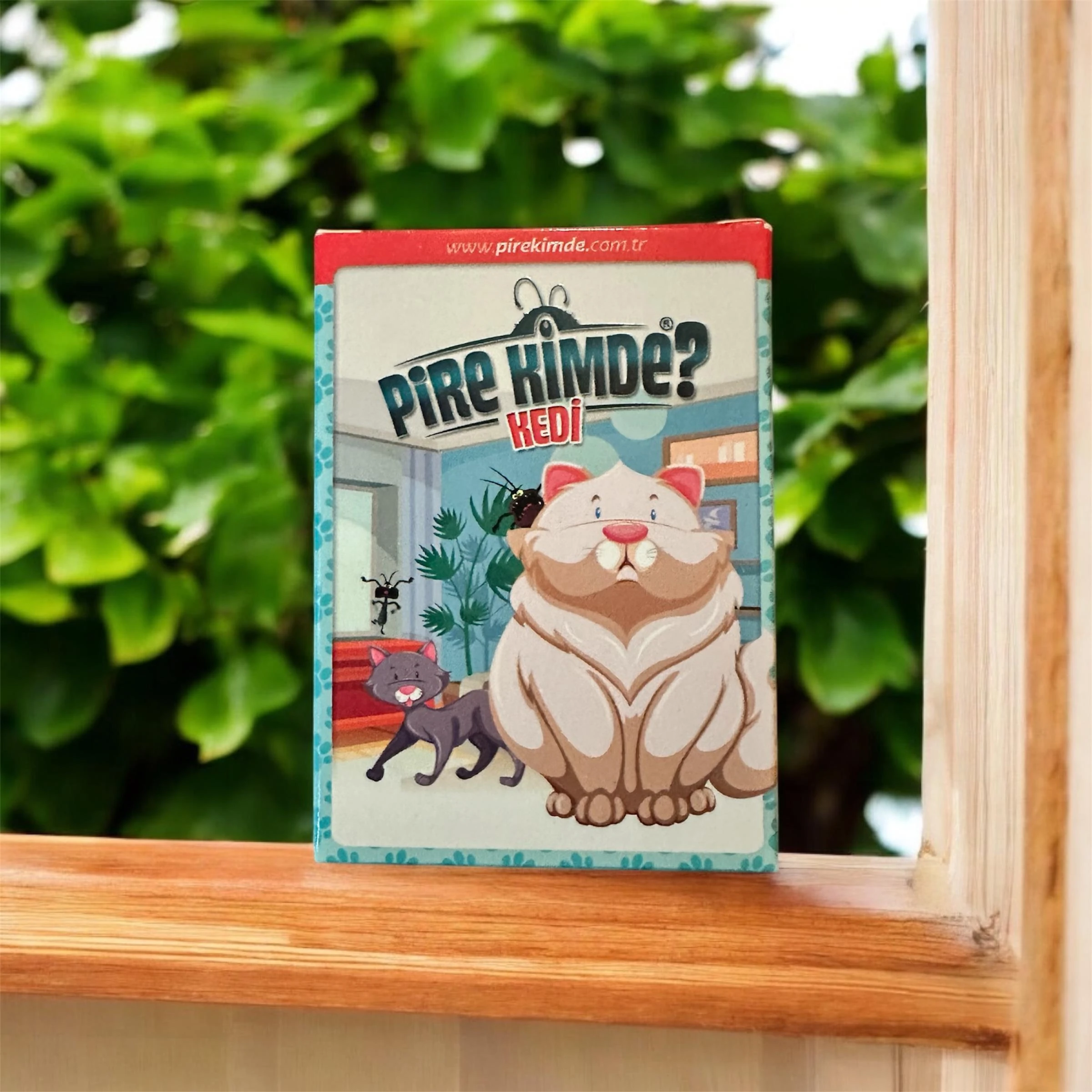 Çocuklara Özel Pire Kimde Kart Oyunu Kedi
