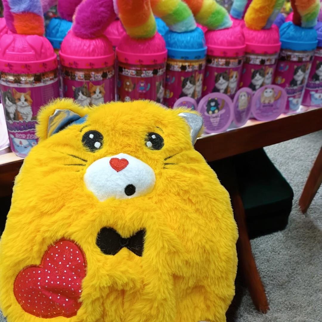 MISFITTENS SÜRPRİZ KUTU ÇILGIN TÜRK KEDİLERİ SERİSİ