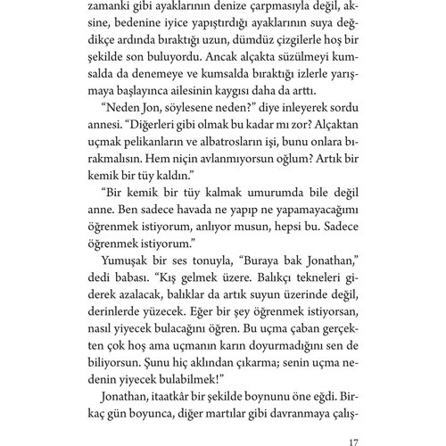 Martı Jonathan Livingston - Richard Bach