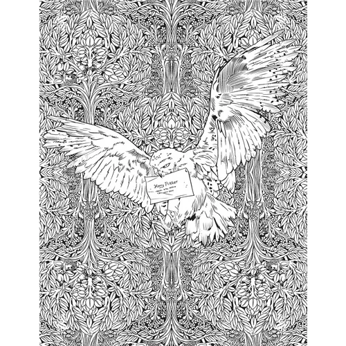 Harry Potter Boyama Kitabı - Hazel Bilgen