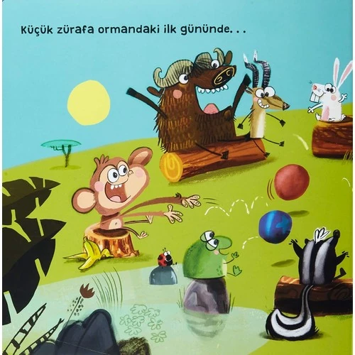 Ben Sandalye Değilim (Ciltli) - (Organik Kitap) - Ross Burach