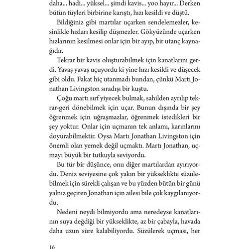 Martı Jonathan Livingston - Richard Bach