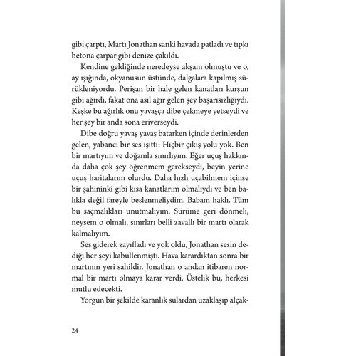 Martı Jonathan Livingston - Richard Bach