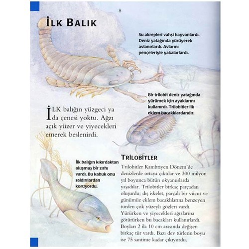 +7 Yaş İlk Bilim Kütüphanem 5’li Kitap Seti 2