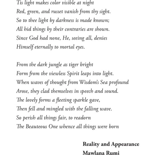 Corridor Of Shadows - (Futher Sufi Chronicles)-Muhyiddin Şekur