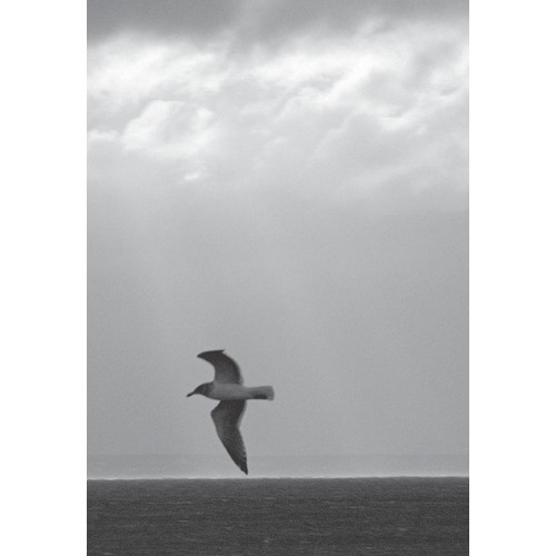 Martı Jonathan Livingston - Richard Bach
