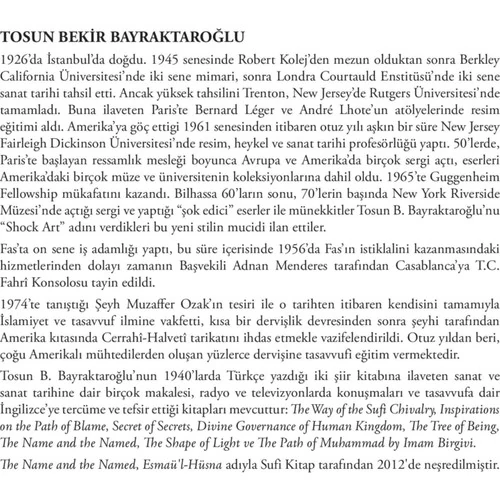 Amerika'Da Bir Türk - Tosun Bekir Bayraktaroğlu