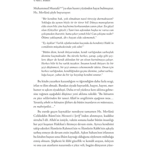 Aşk Mesleği (Velayet)-Rabia Christine Brodbeck