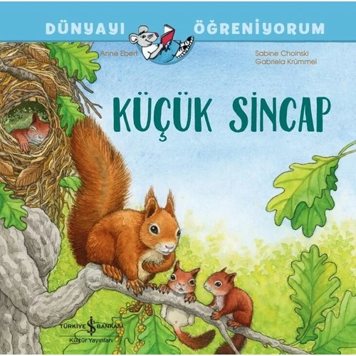 İş Bankası Kültür Yayınları Dünyayı Öğreniyorum / Küçük Sincap