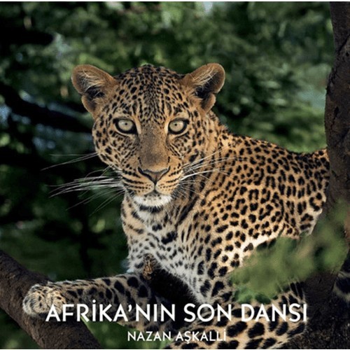 Afrika’nın Son Dansı - Nazan Aşkalli