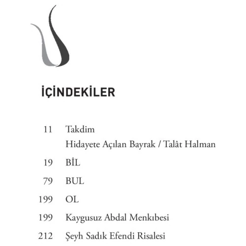 Amerika'Da Bir Türk - Tosun Bekir Bayraktaroğlu