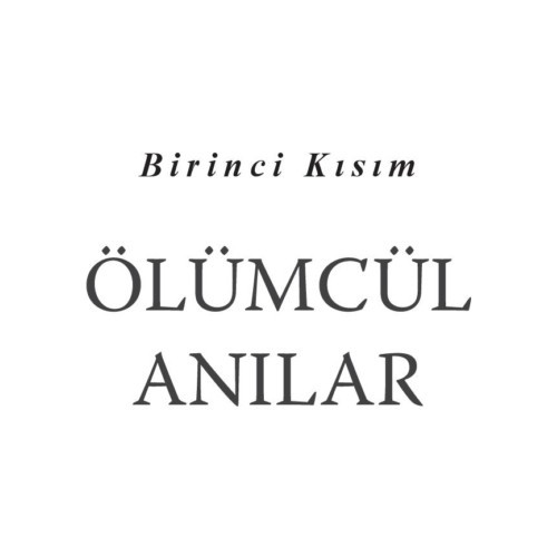 Aklından Bir Sayı Tut - John Verdon