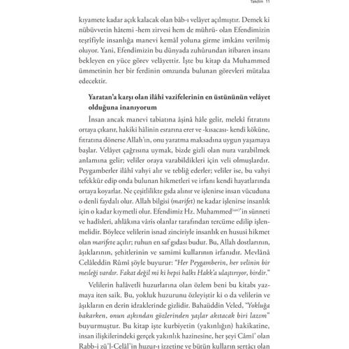 Aşk Mesleği (Velayet)-Rabia Christine Brodbeck