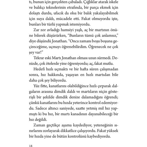 Martı Jonathan Livingston - Richard Bach