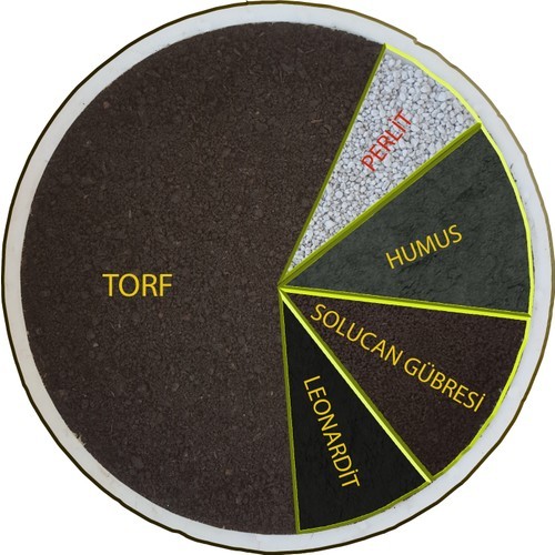 Agrobit Akıllı Toprak 30 lt Kaktüs Aloevera Lithops ve Succulent Toprağı Zengin Karışım