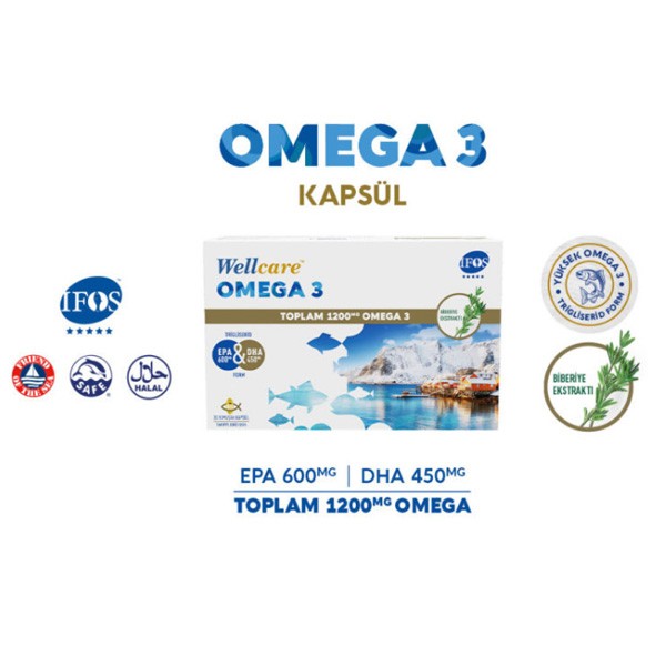 Wellcare Omega 3 1200 mg 30 Yumuşak Kapsül