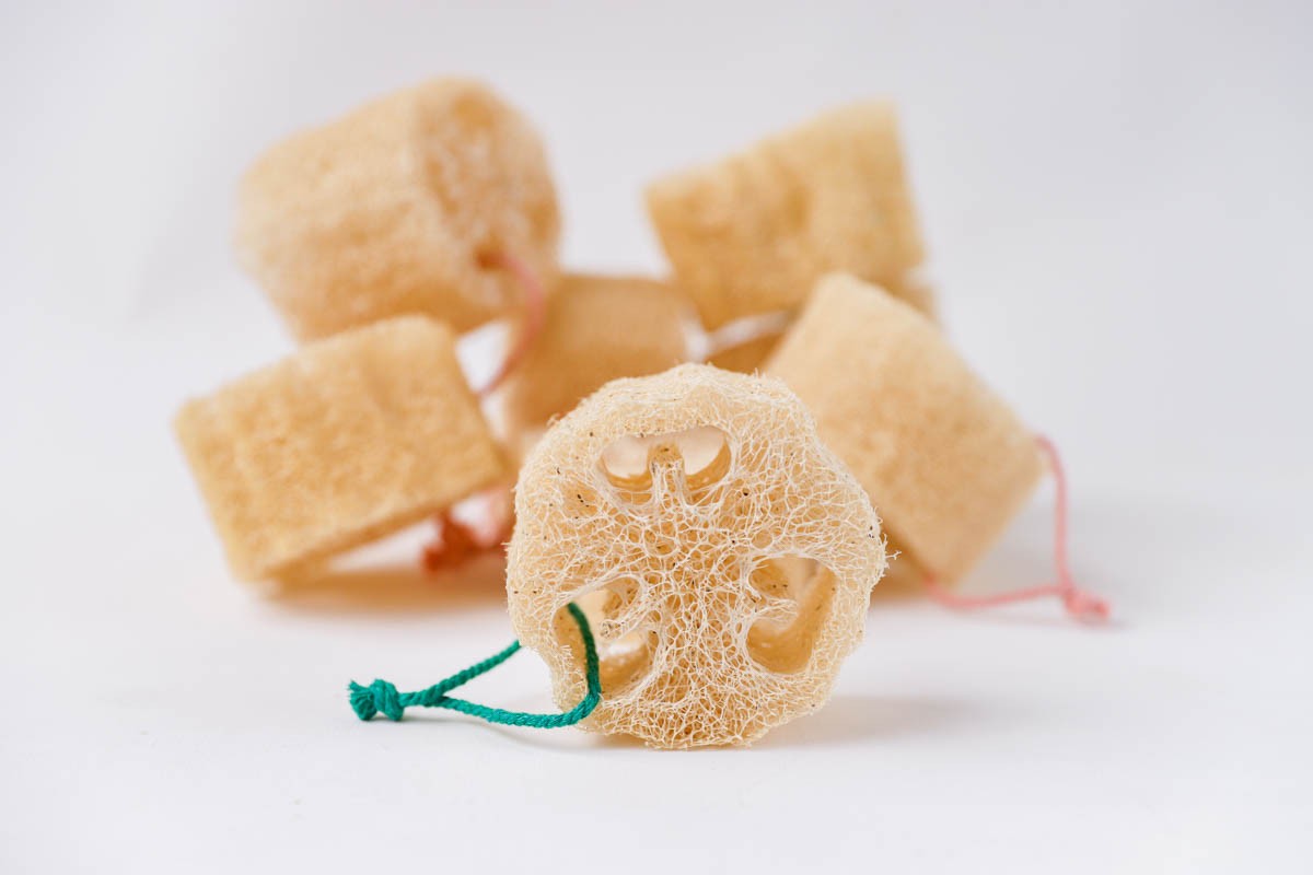 Natural Loofah Sponge