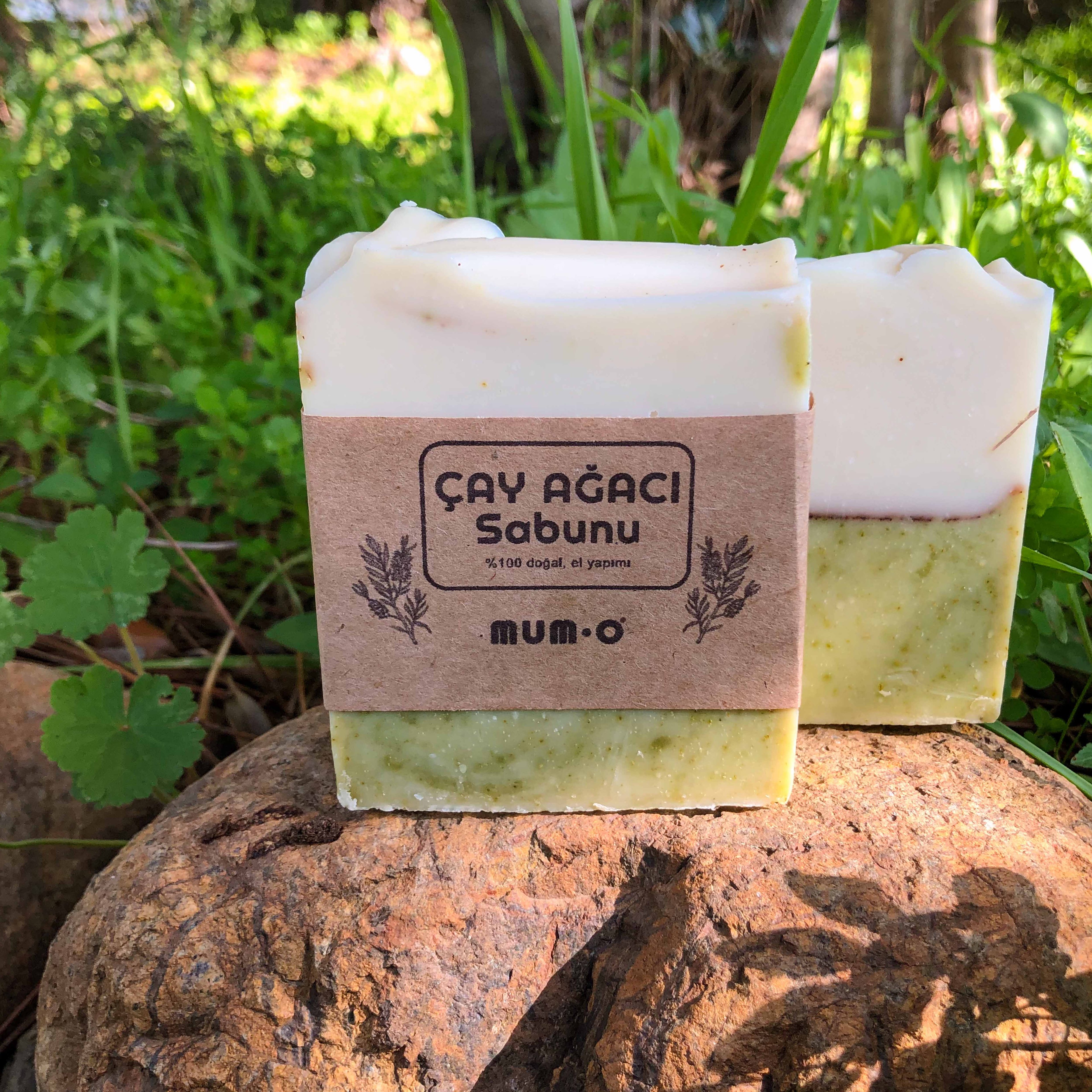 Natural Solid Soap - Çay Ağacı