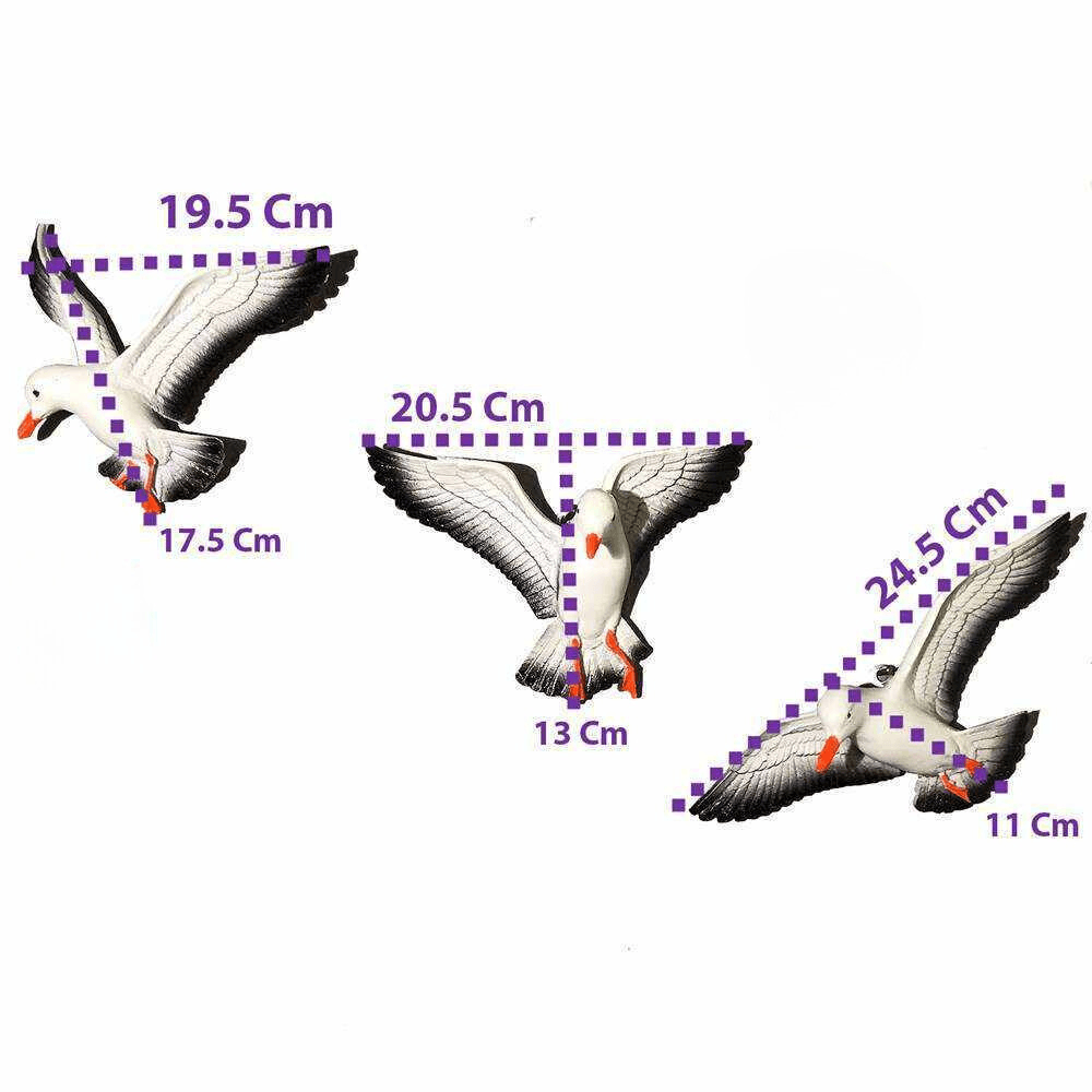 Siyah Kanatlı Martı Duvar Süsü 3 Parça