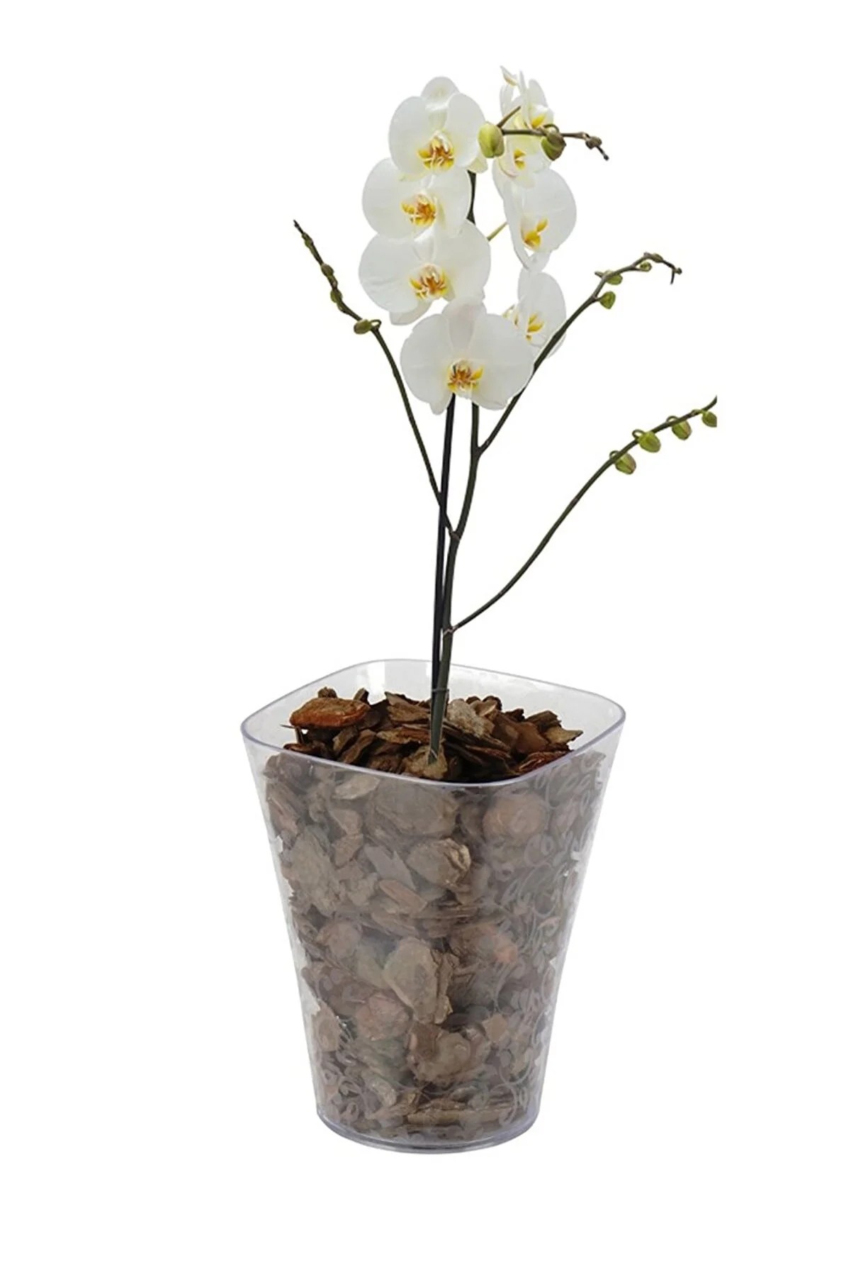 Çiçek Desenli Orkide Saksı, Şeffaf Orkide Saksı 1,5 Litre